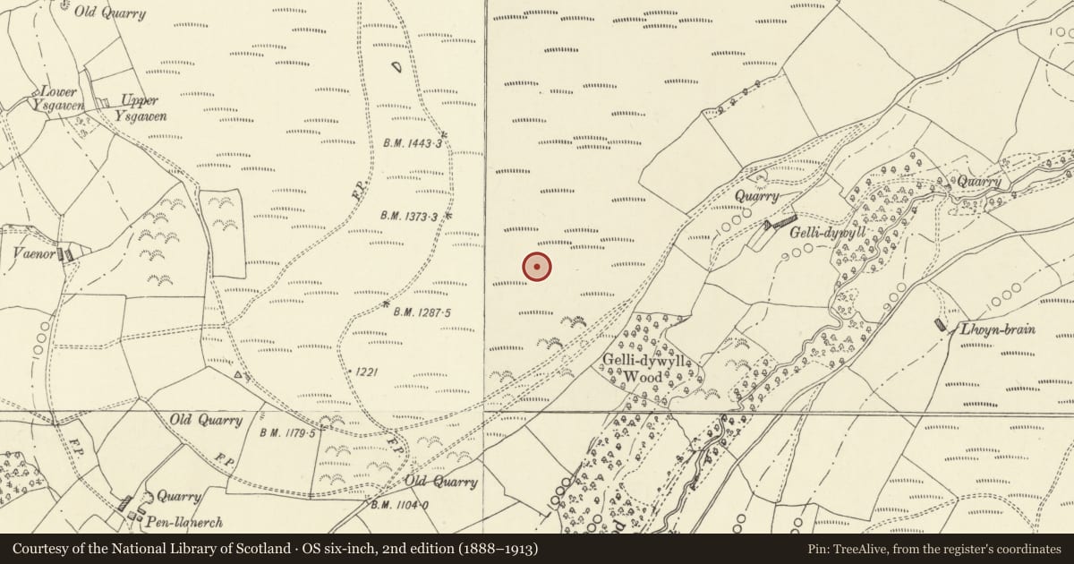 Ordnance Survey six-inch map, 2nd edition (1888–1913) covering the location of Gellidywyll Platform Settlement, Glascwm, Powys, with a pin at the register's coordinates