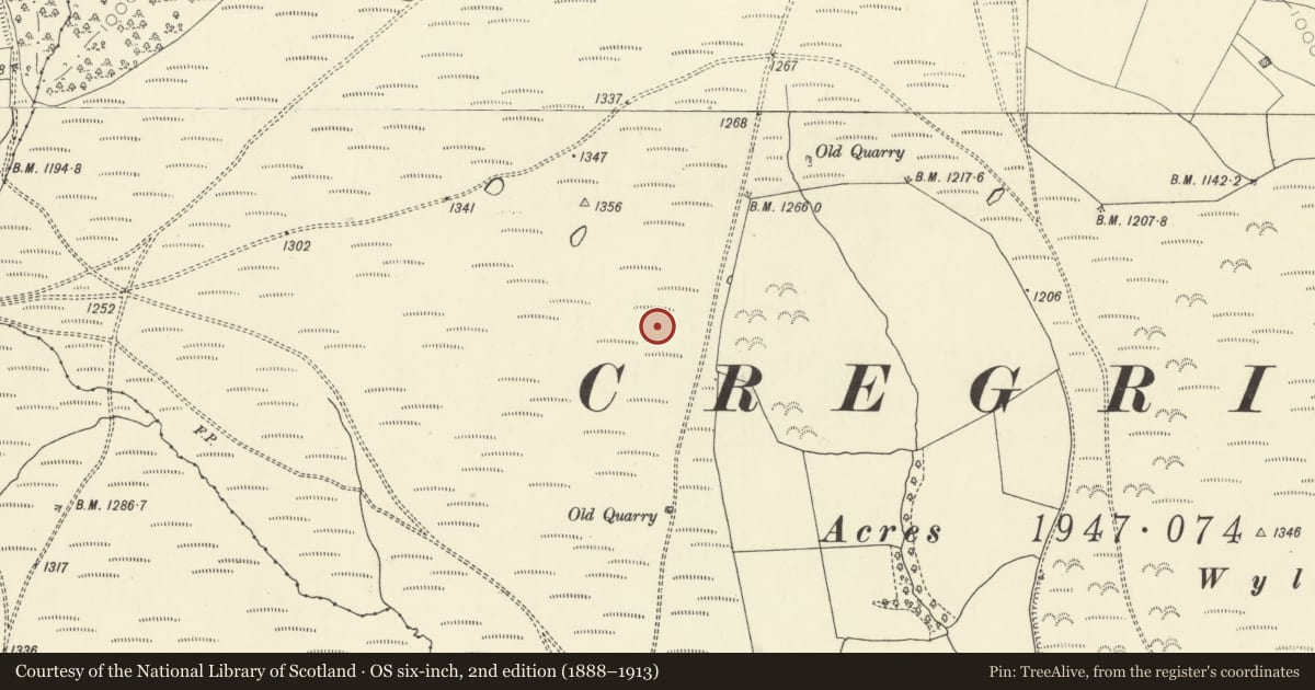 Ordnance Survey six-inch map, 2nd edition (1888–1913) covering the location of Cwmblaenerw Enclosed Long Hut, Glascwm, Powys, with a pin at the register's coordinates