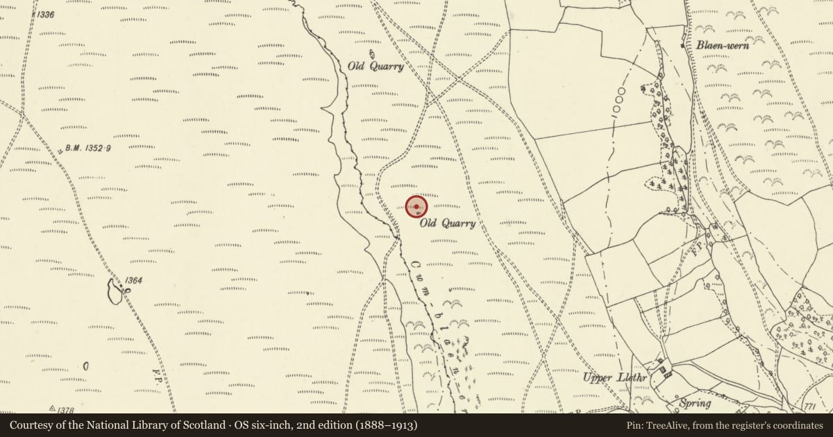 Ordnance Survey six-inch map, 2nd edition (1888–1913) covering the location of Cwmblaenerw House Platforms, Aberedw, Powys, with a pin at the register's coordinates