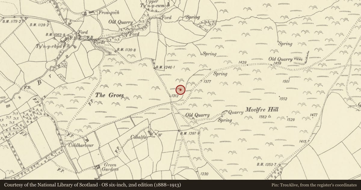 Ordnance Survey six-inch map, 2nd edition (1888–1913) covering the location of Moelfre Hill Deserted Rural Settlement, Llanbister, Powys, with a pin at the register's coordinates