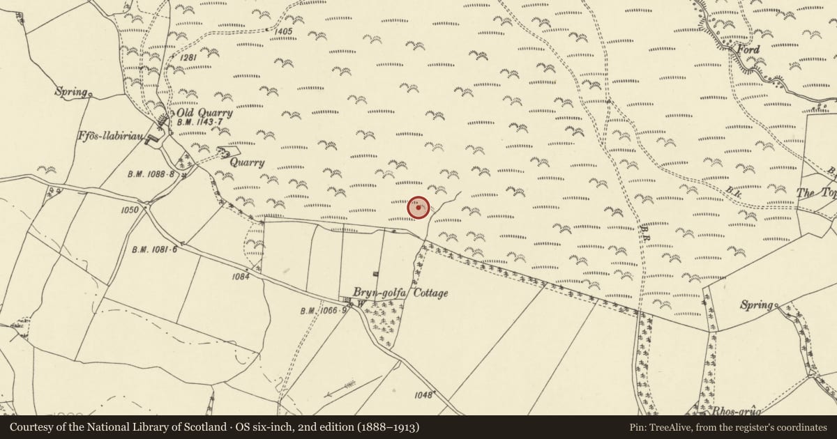 Ordnance Survey six-inch map, 2nd edition (1888–1913) covering the location of Ffoeslaprey Settlement, Llanbister, Powys, with a pin at the register's coordinates
