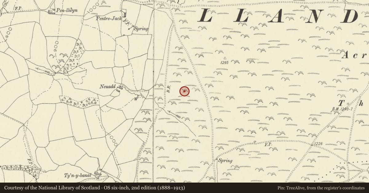 Ordnance Survey six-inch map, 2nd edition (1888–1913) covering the location of Pentre Jack Settlement, Painscastle, Powys, with a pin at the register's coordinates
