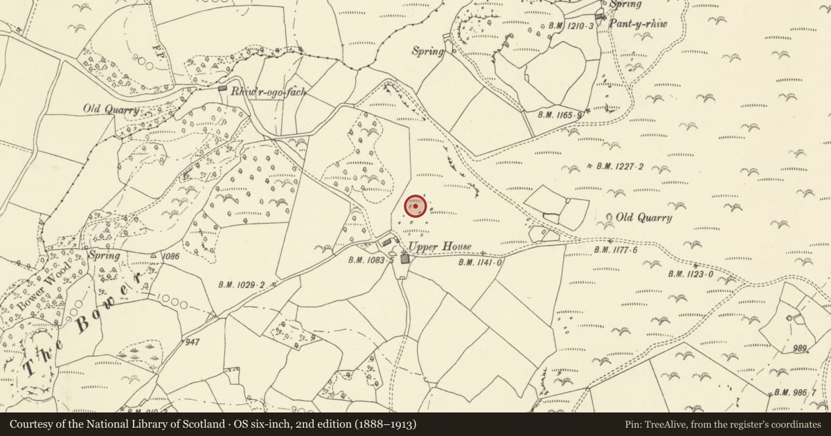 Ordnance Survey six-inch map, 2nd edition (1888–1913) covering the location of Upper House Platform House, Glascwm, Powys, with a pin at the register's coordinates