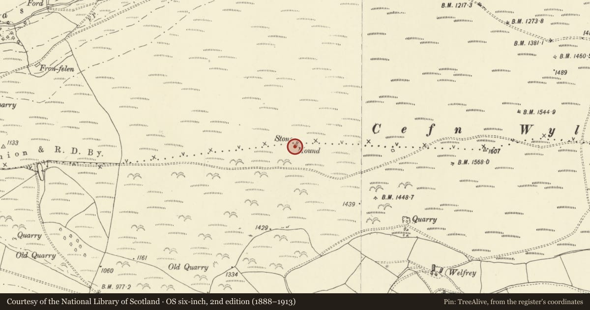 Ordnance Survey six-inch map, 2nd edition (1888–1913) covering the location of Cefn Wylfre Stone Circle and Round Barrow, Glascwm, Powys, with a pin at the register's coordinates