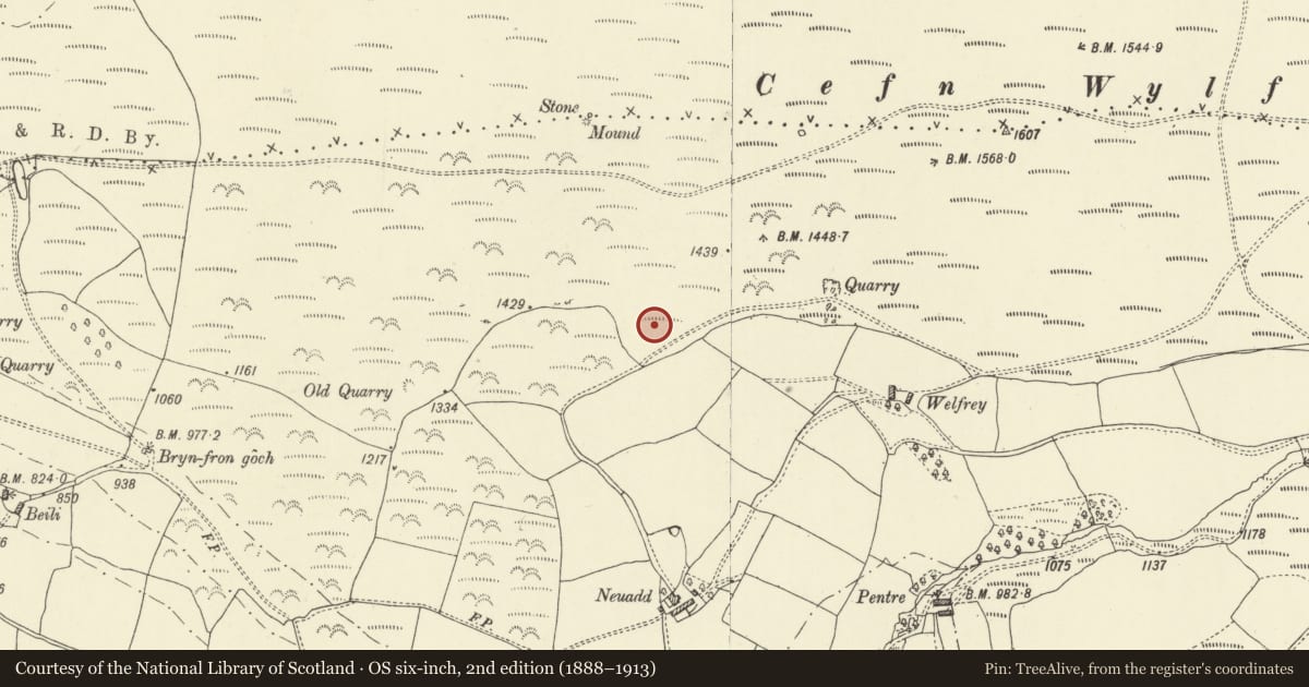 Ordnance Survey six-inch map, 2nd edition (1888–1913) covering the location of Cefn Wylfre Platform House, Aberedw, Powys, with a pin at the register's coordinates