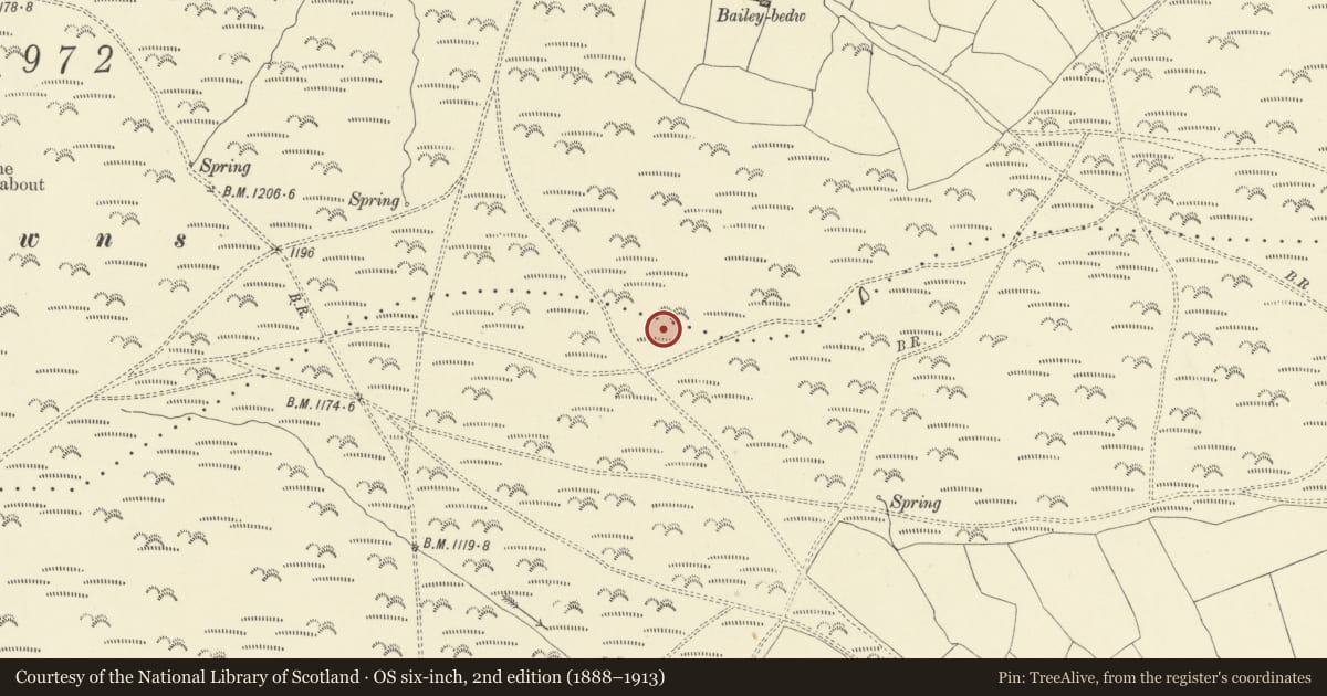Ordnance Survey six-inch map, 2nd edition (1888–1913) covering the location of Bailey Bedw Ring Cairn, Painscastle, Powys, with a pin at the register's coordinates