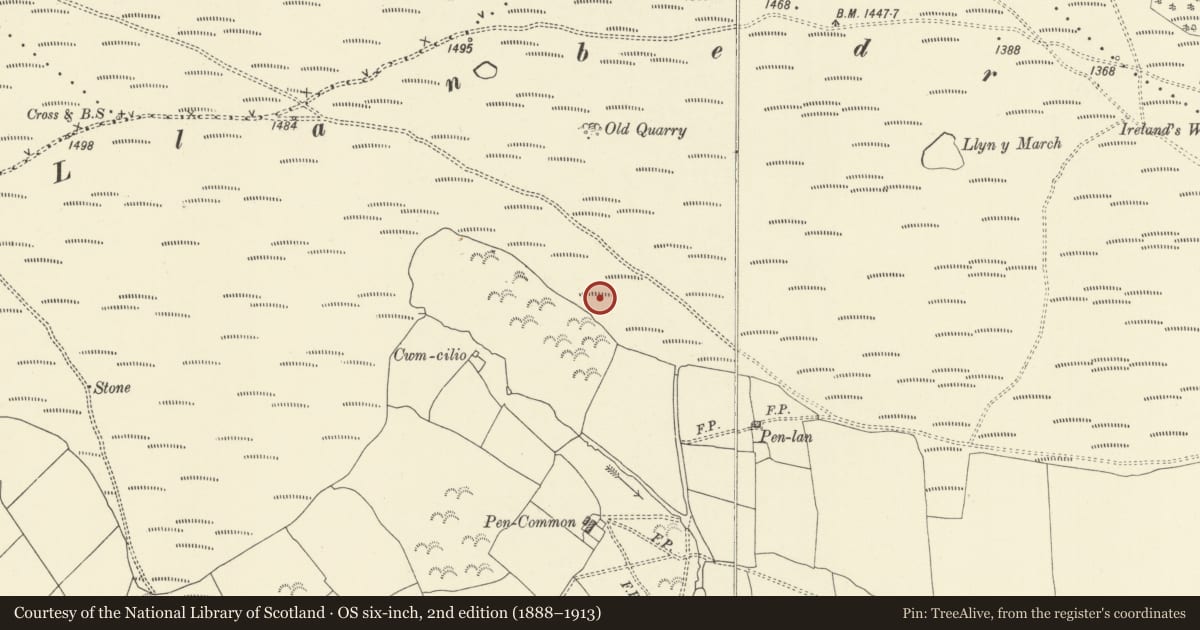 Ordnance Survey six-inch map, 2nd edition (1888–1913) covering the location of Llanbedr Hill Platform House, Painscastle, Powys, with a pin at the register's coordinates