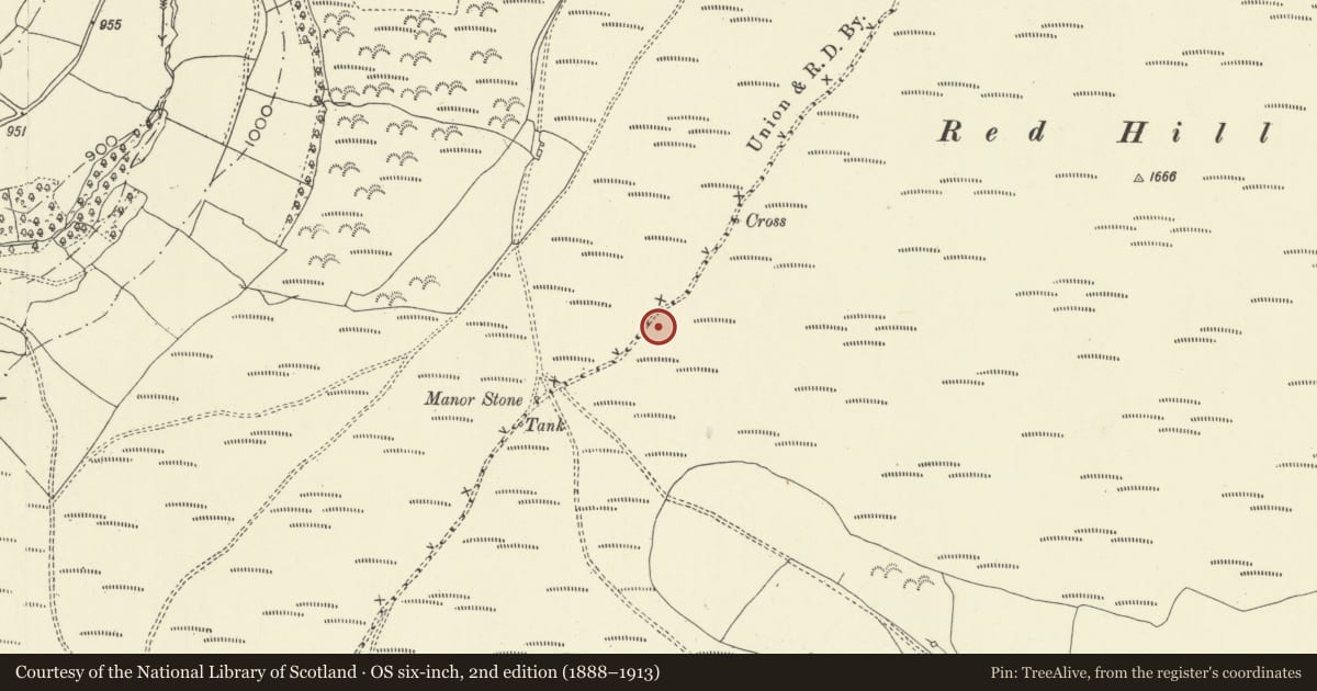 Ordnance Survey six-inch map, 2nd edition (1888–1913) covering the location of Red Hill Cross Ridge Dyke, Painscastle, Powys, with a pin at the register's coordinates