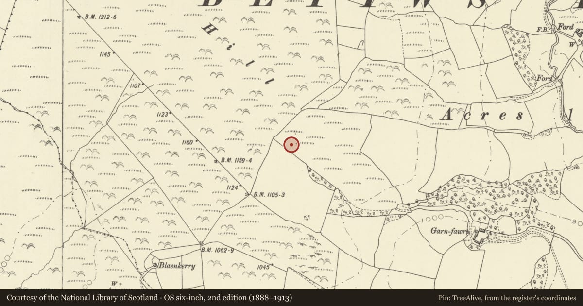 Ordnance Survey six-inch map, 2nd edition (1888–1913) covering the location of Garnfawr Deserted Rural Settlement, Glascwm, Powys, with a pin at the register's coordinates