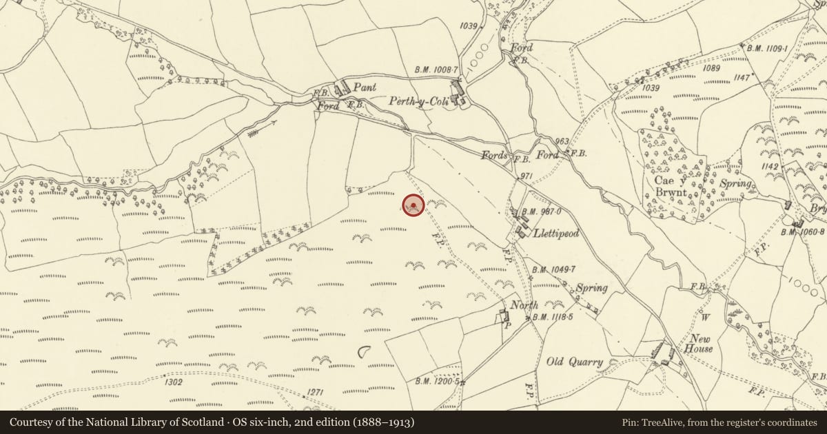 Ordnance Survey six-inch map, 2nd edition (1888–1913) covering the location of Lettypeod Deserted Rural Settlement, Painscastle, Powys, with a pin at the register's coordinates