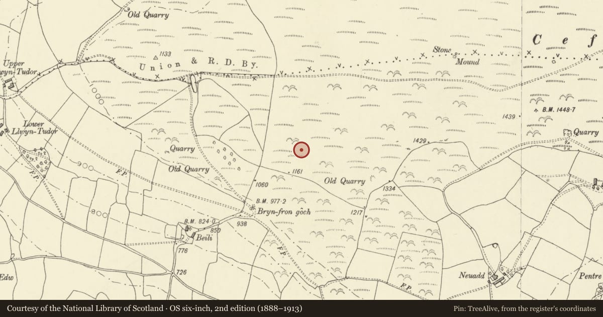 Ordnance Survey six-inch map, 2nd edition (1888–1913) covering the location of Cefn Wylfre Deserted Rural Settlement, Aberedw, Powys, with a pin at the register's coordinates