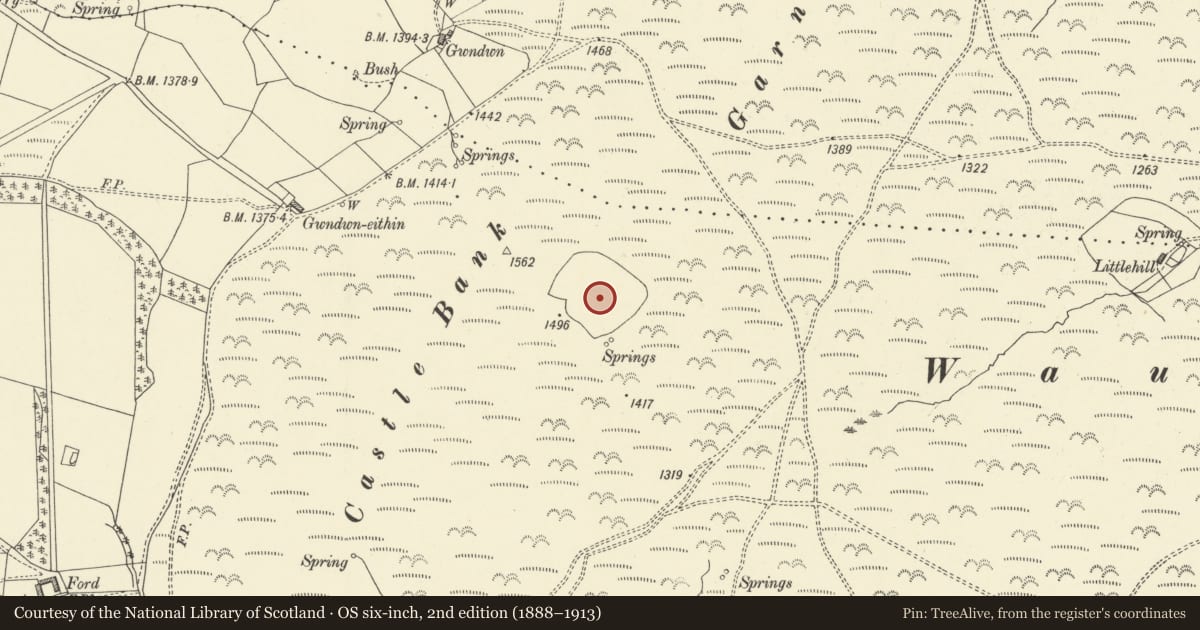 Ordnance Survey six-inch map, 2nd edition (1888–1913) covering the location of Castle Bank Settlement, Llanbadarn Fynydd, Powys, with a pin at the register's coordinates