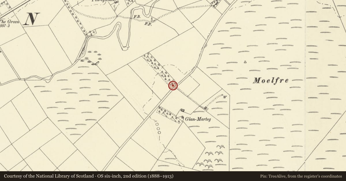 Ordnance Survey six-inch map, 2nd edition (1888–1913) covering the location of Bronze Age tumulus north of Beili Haulwen, St. Harmon, Powys, with a pin at the register's coordinates