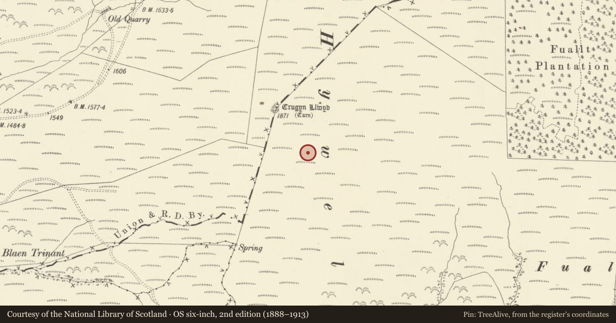 Ordnance Survey six-inch map, 2nd edition (1888–1913) covering the location of Fuallt Standing Stone, Abbey Cwmhir, Powys, with a pin at the register's coordinates