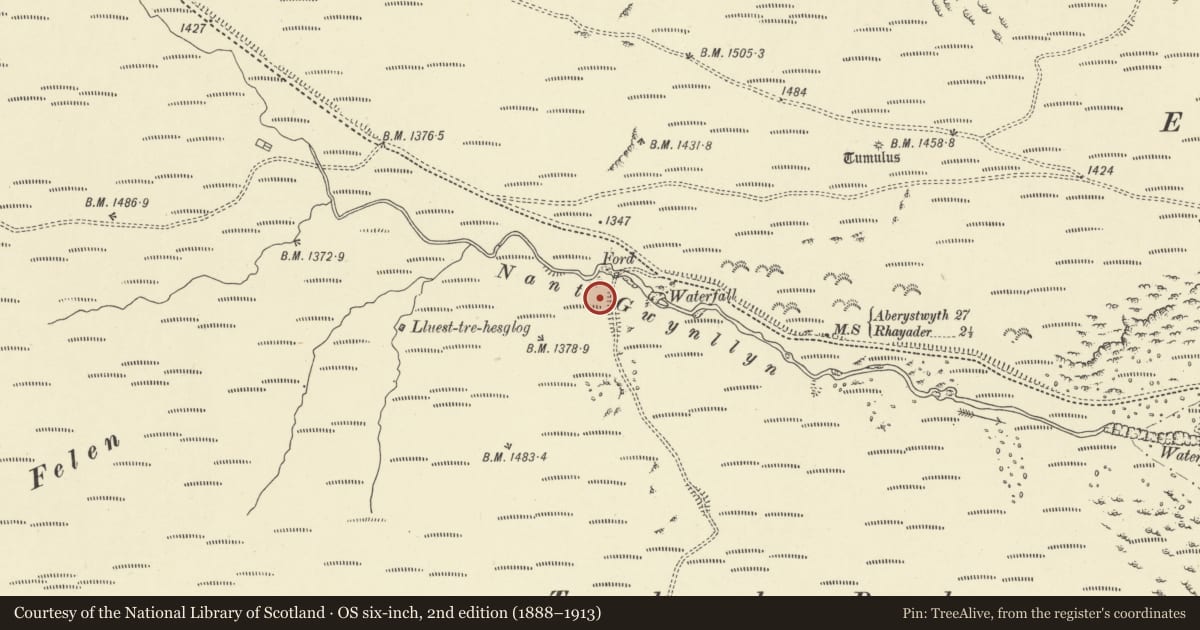 Ordnance Survey six-inch map, 2nd edition (1888–1913) covering the location of Nant Gwynllyn Standing stone, Rhayader, Powys, with a pin at the register's coordinates