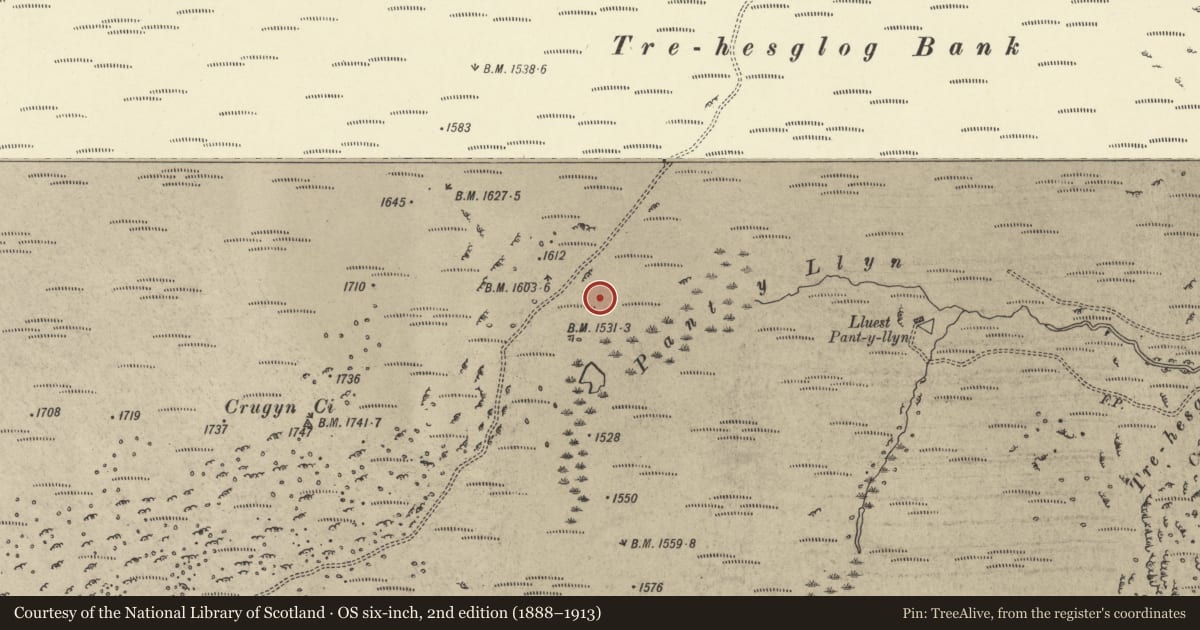 Ordnance Survey six-inch map, 2nd edition (1888–1913) covering the location of Nant y Llyn Stone Row, Rhayader, Powys, with a pin at the register's coordinates