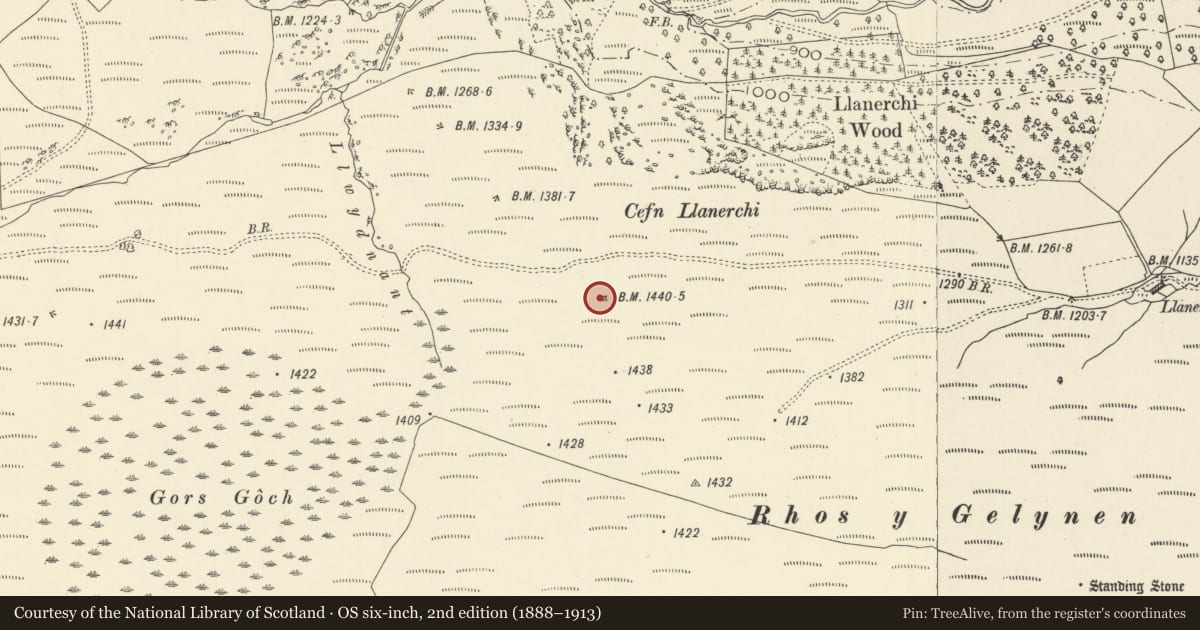 Ordnance Survey six-inch map, 2nd edition (1888–1913) covering the location of Cefn Llanerchi Standing Stones, Rhayader, Powys, with a pin at the register's coordinates