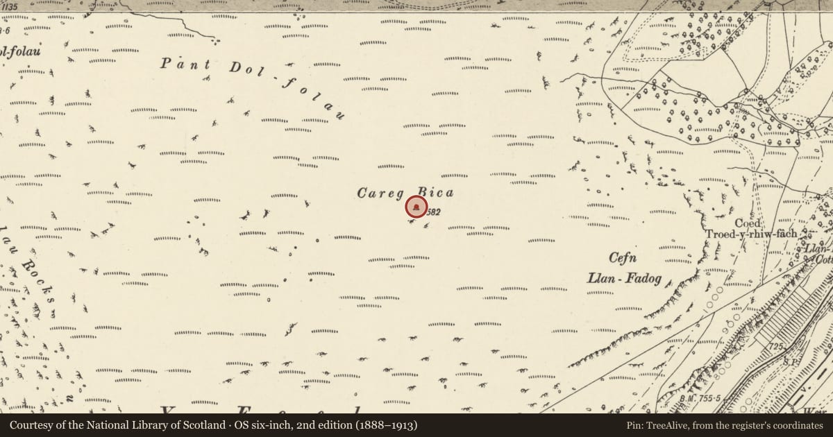 Ordnance Survey six-inch map, 2nd edition (1888–1913) covering the location of Carreg Bica Round Cairn, Rhayader, Powys, with a pin at the register's coordinates
