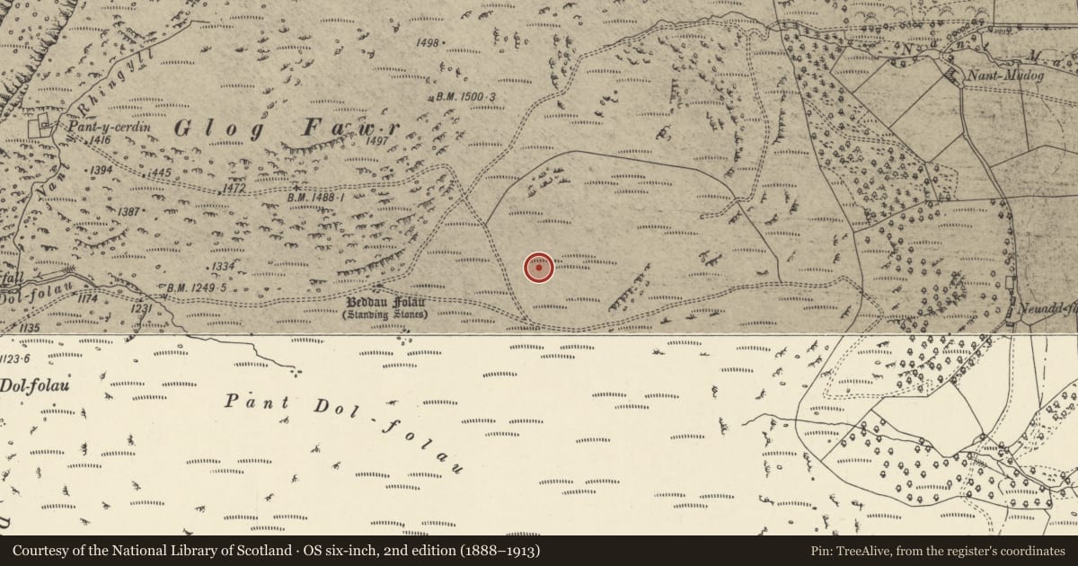 Ordnance Survey six-inch map, 2nd edition (1888–1913) covering the location of Glog Fawr Platform Cairn, Rhayader, Powys, with a pin at the register's coordinates