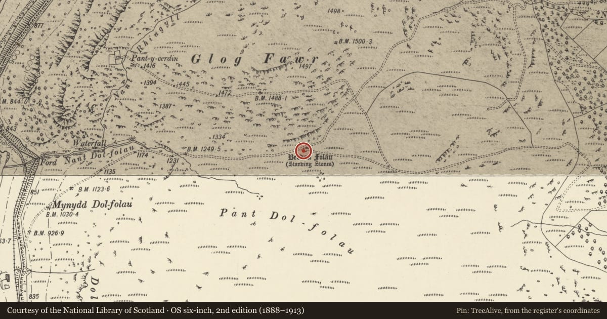 Ordnance Survey six-inch map, 2nd edition (1888–1913) covering the location of Beddau Folau Chambered Tomb, Rhayader, Powys, with a pin at the register's coordinates