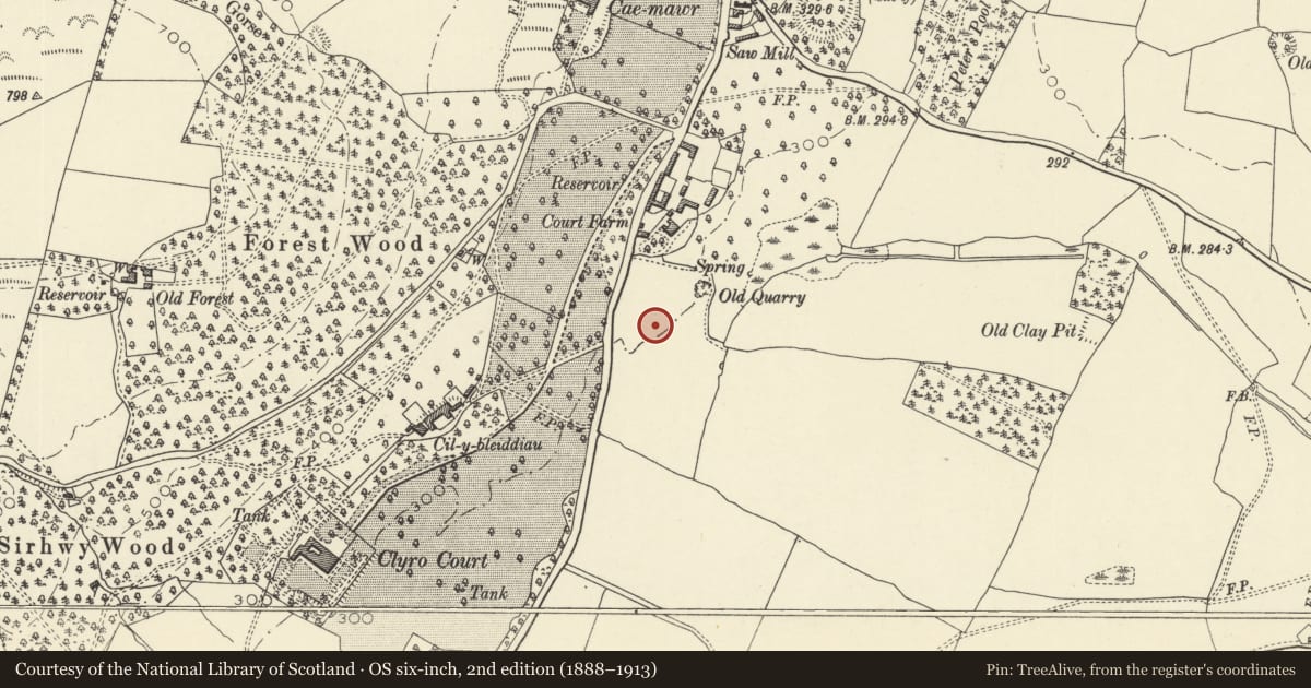 Ordnance Survey six-inch map, 2nd edition (1888–1913) covering the location of Clyro Court chambered tomb, Powys, with a pin at the register's coordinates