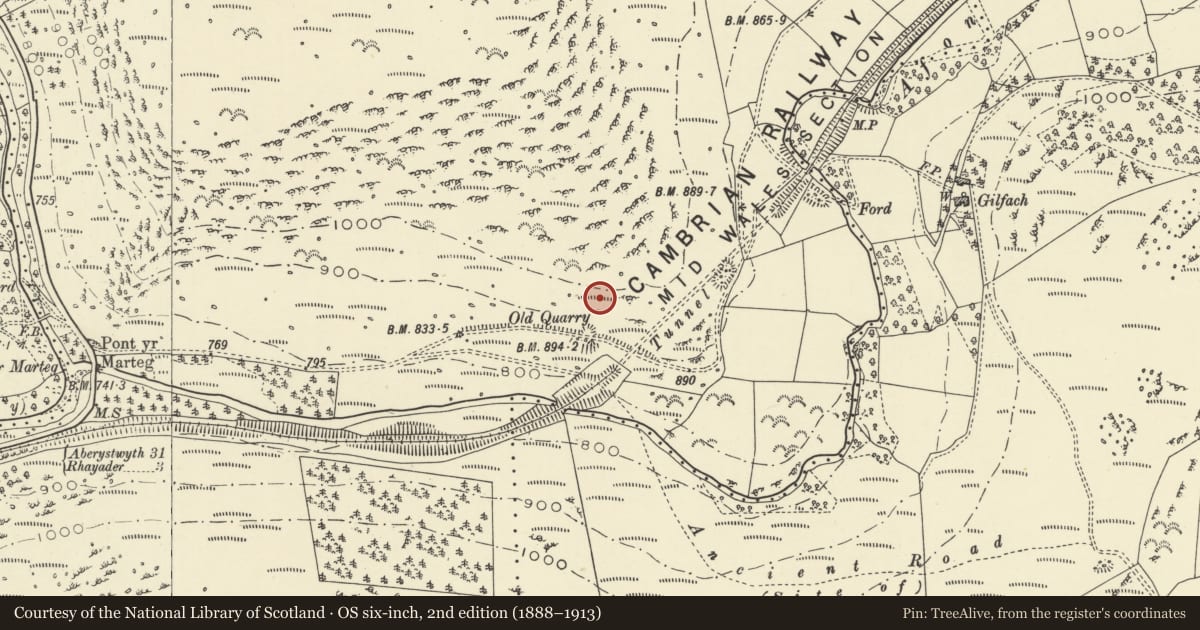Ordnance Survey six-inch map, 2nd edition (1888–1913) covering the location of Cairn Circle, St. Harmon, Powys, with a pin at the register's coordinates