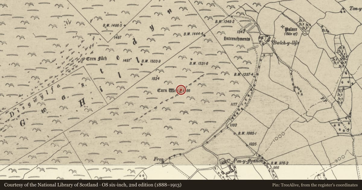 Ordnance Survey six-inch map, 2nd edition (1888–1913) covering the location of Carn Wen cairn, Nantmel, Powys, with a pin at the register's coordinates
