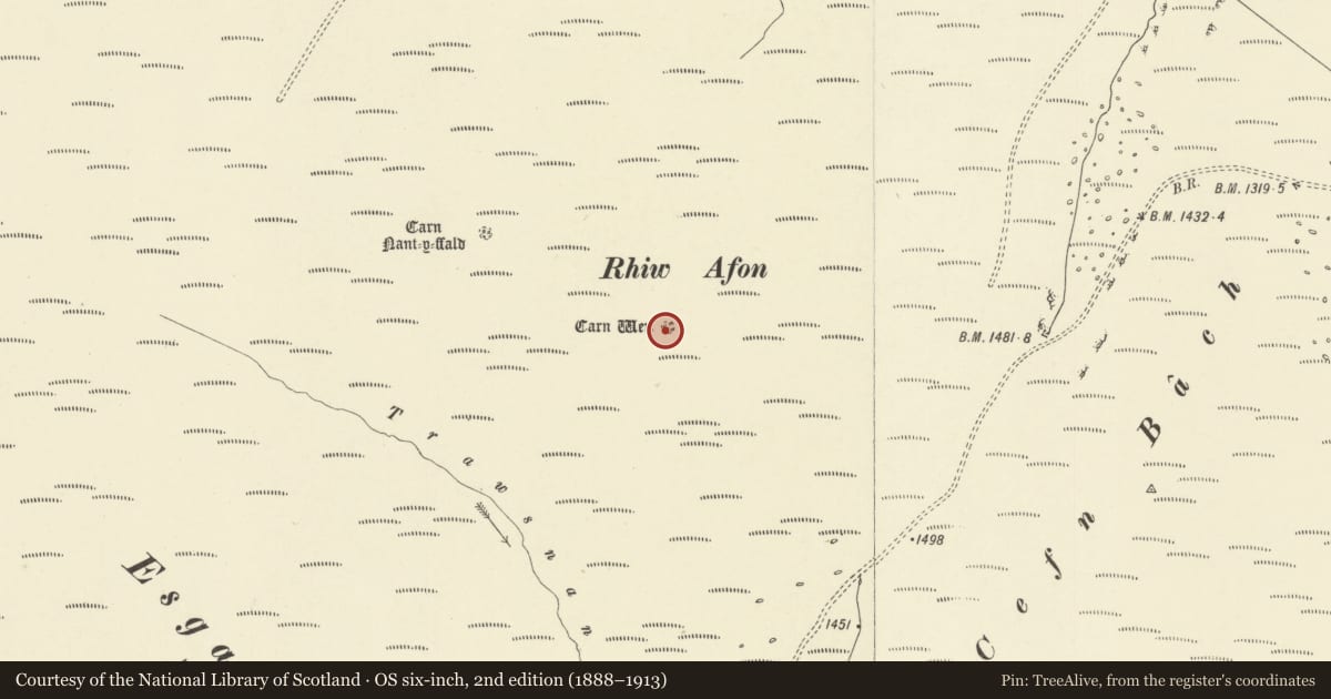 Ordnance Survey six-inch map, 2nd edition (1888–1913) covering the location of Carn Wen cairn, Rhayader, Powys, with a pin at the register's coordinates