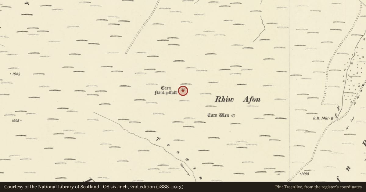 Ordnance Survey six-inch map, 2nd edition (1888–1913) covering the location of Carn Nant-y-ffald cairn, Rhayader, Powys, with a pin at the register's coordinates