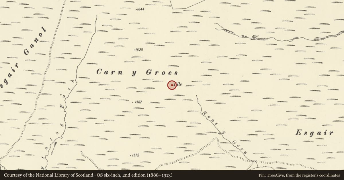 Ordnance Survey six-inch map, 2nd edition (1888–1913) covering the location of Carn y Groes cairn, Rhayader, Powys, with a pin at the register's coordinates