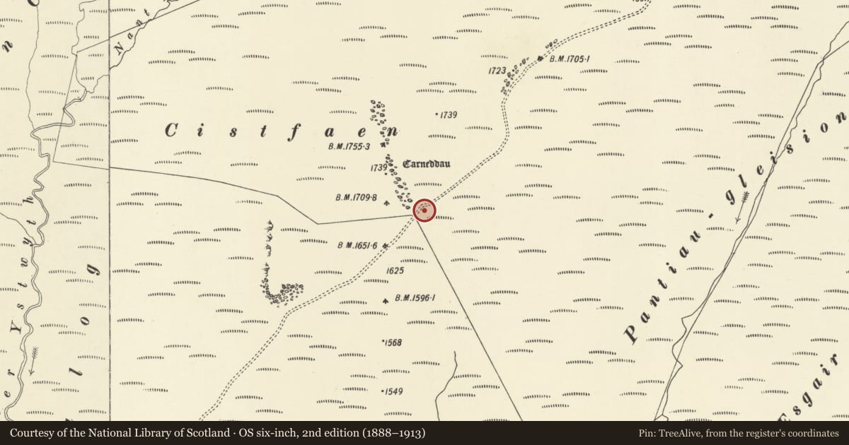 Ordnance Survey six-inch map, 2nd edition (1888–1913) covering the location of Cistfaen barrows, Rhayader, Powys, with a pin at the register's coordinates
