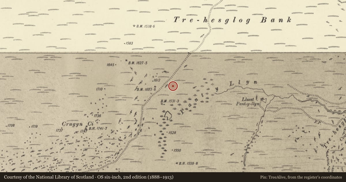 Ordnance Survey six-inch map, 2nd edition (1888–1913) covering the location of Nant y Llyn cist, Rhayader, Powys, with a pin at the register's coordinates