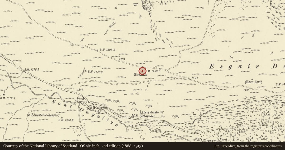 Ordnance Survey six-inch map, 2nd edition (1888–1913) covering the location of Clap yr Arian cairn, Rhayader, Powys, with a pin at the register's coordinates