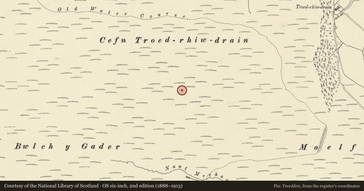 Ordnance Survey six-inch map, 2nd edition (1888–1913) covering the location of Cefn Troedrhiw-drain cist, Rhayader, Powys, with a pin at the register's coordinates