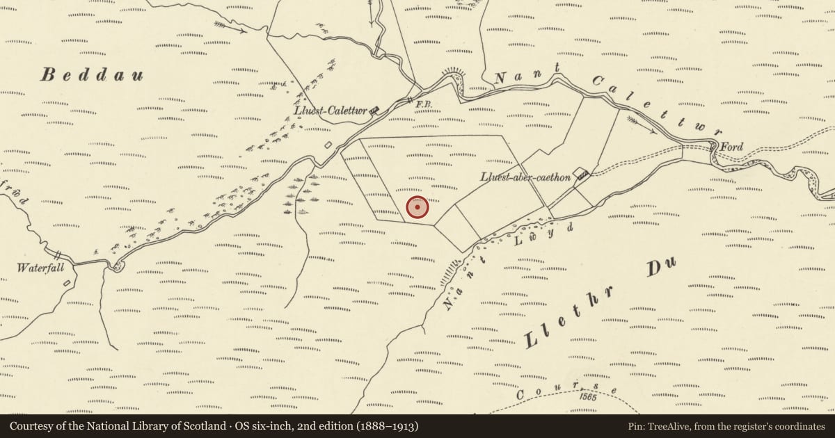 Ordnance Survey six-inch map, 2nd edition (1888–1913) covering the location of Nant Cletwr barrow, Rhayader, Powys, with a pin at the register's coordinates