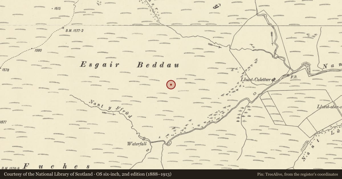 Ordnance Survey six-inch map, 2nd edition (1888–1913) covering the location of Esgair Beddau cairns, Rhayader, Powys, with a pin at the register's coordinates