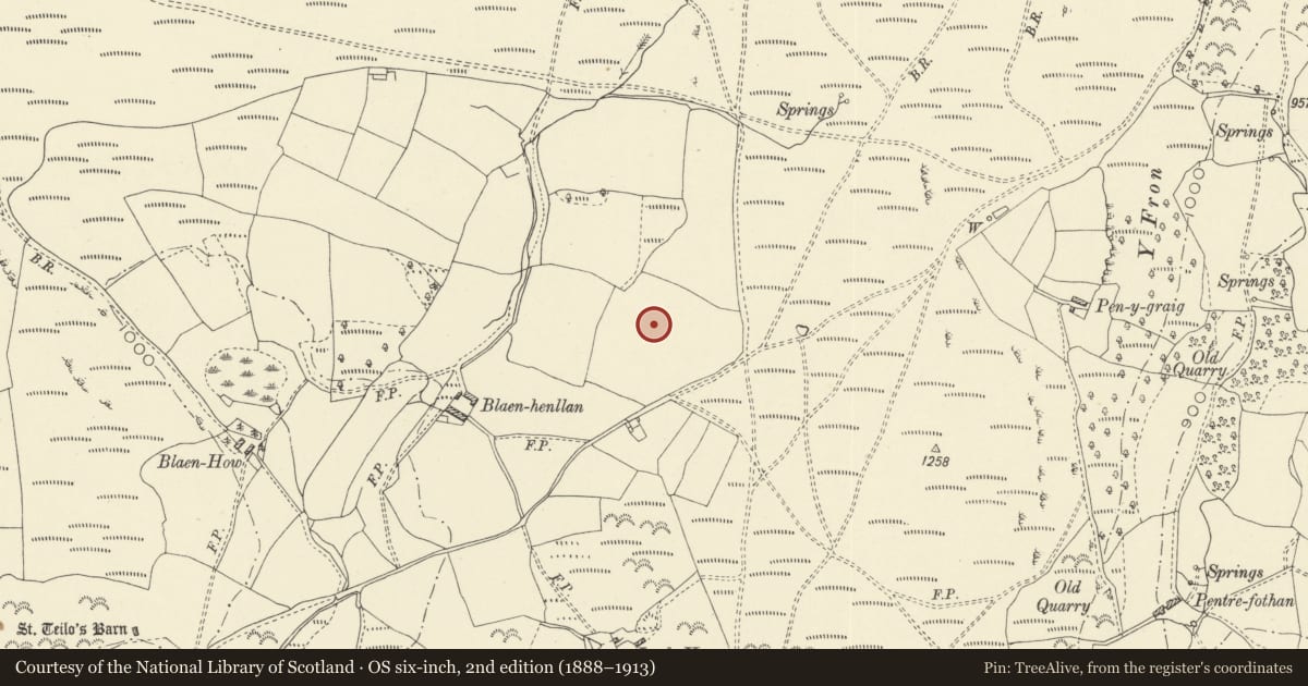 Ordnance Survey six-inch map, 2nd edition (1888–1913) covering the location of Blaenhenllan round cairn, Painscastle, Powys, with a pin at the register's coordinates