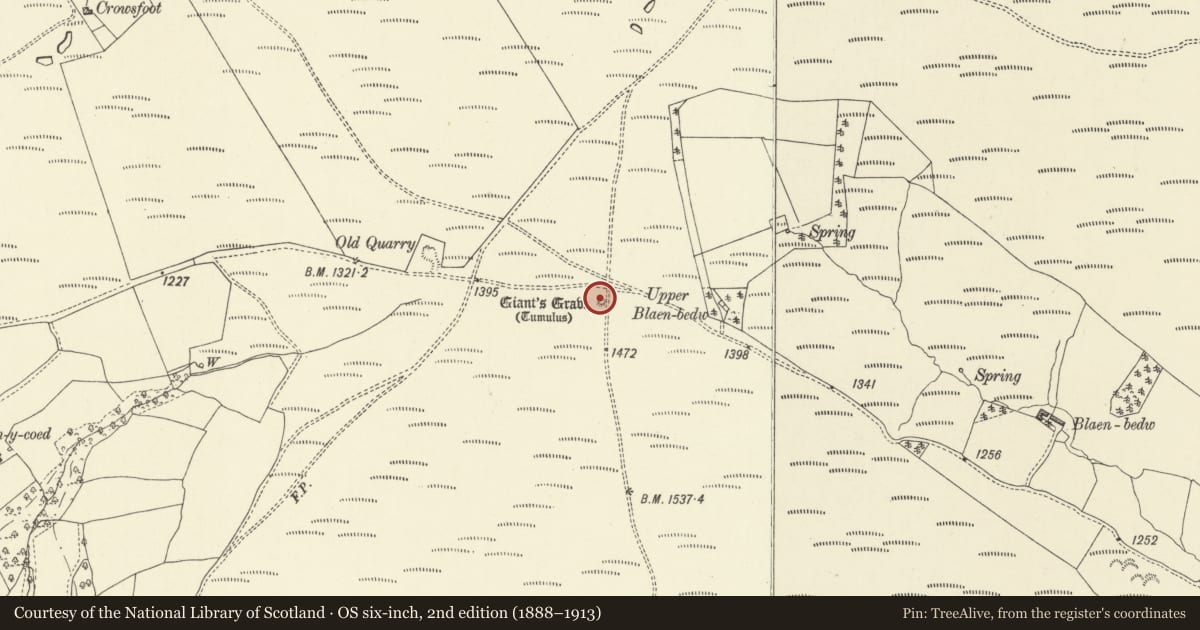 Ordnance Survey six-inch map, 2nd edition (1888–1913) covering the location of Giant's Grave round cairn, Glascwm, Powys, with a pin at the register's coordinates