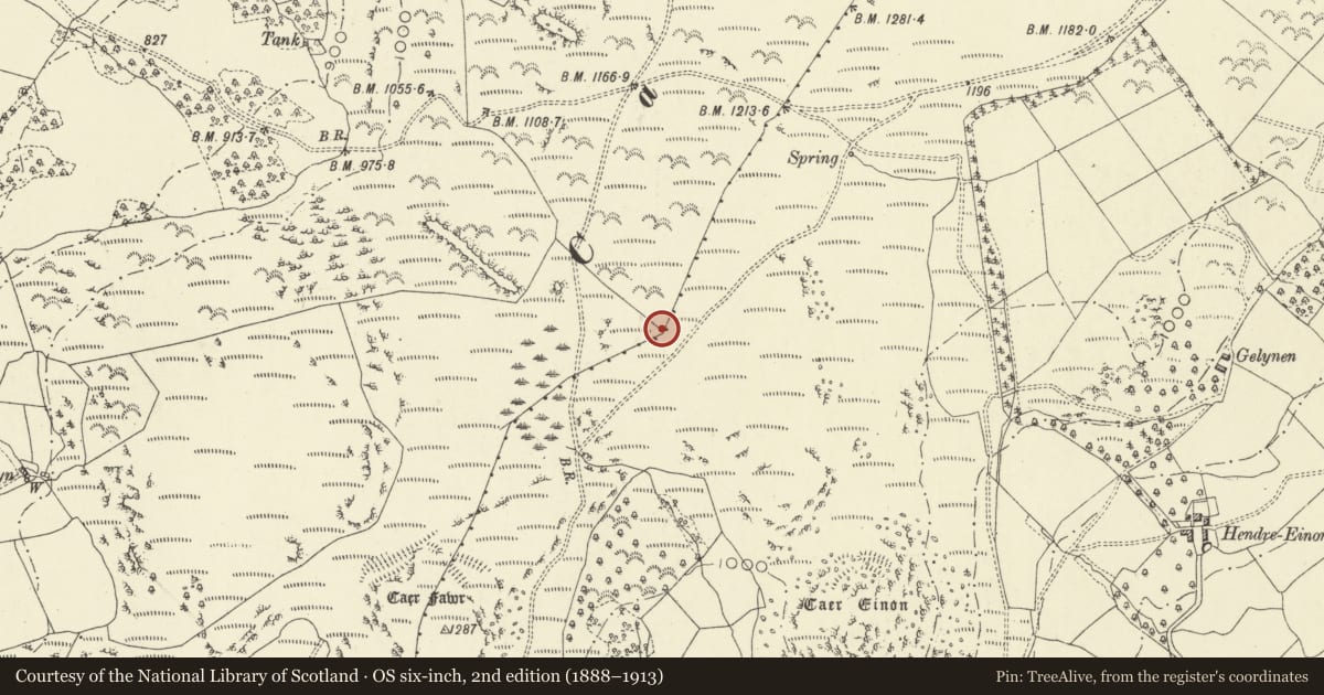 Ordnance Survey six-inch map, 2nd edition (1888–1913) covering the location of Standing Stone, Llanelwedd, Powys, with a pin at the register's coordinates