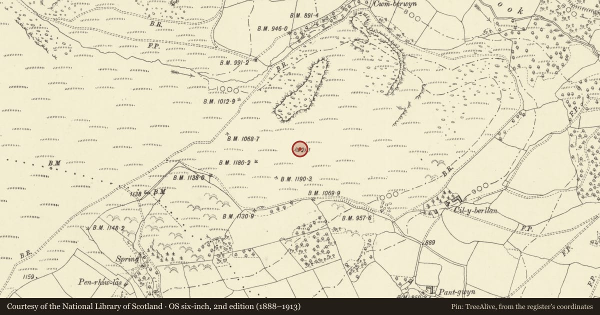 Ordnance Survey six-inch map, 2nd edition (1888–1913) covering the location of Cwm-berwyn round cairn, Glascwm, Powys, with a pin at the register's coordinates