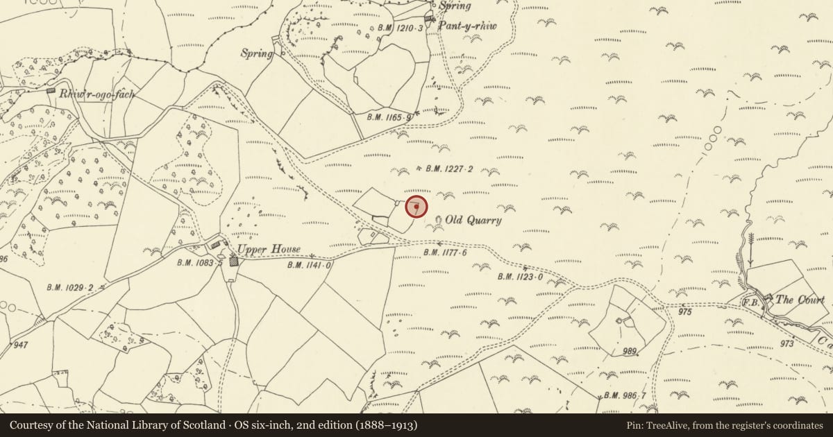 Ordnance Survey six-inch map, 2nd edition (1888–1913) covering the location of Upper House round cairns, Glascwm, Powys, with a pin at the register's coordinates