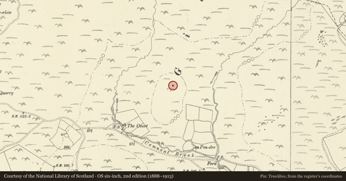 Ordnance Survey six-inch map, 2nd edition (1888–1913) covering the location of Court stone row, Glascwm, Powys, with a pin at the register's coordinates