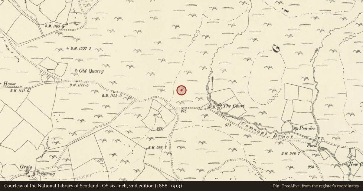 Ordnance Survey six-inch map, 2nd edition (1888–1913) covering the location of Court standing stone, Glascwm, Powys, with a pin at the register's coordinates