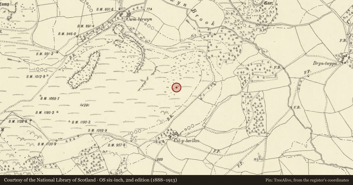 Ordnance Survey six-inch map, 2nd edition (1888–1913) covering the location of Cilberllan ring cairn, Glascwm, Powys, with a pin at the register's coordinates