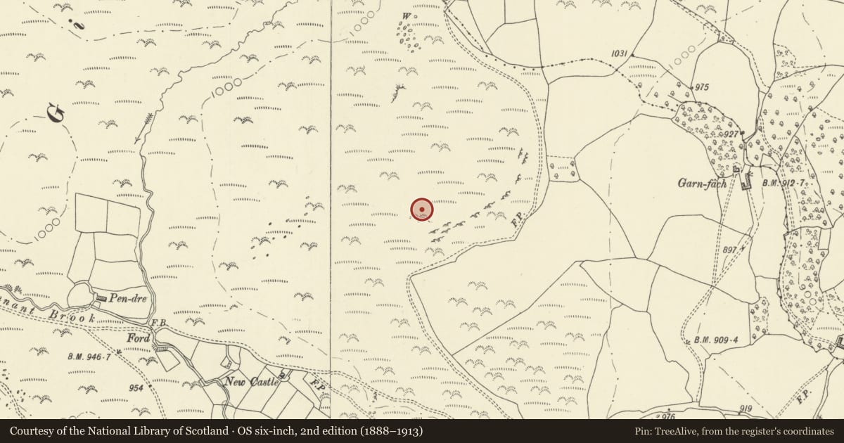 Ordnance Survey six-inch map, 2nd edition (1888–1913) covering the location of Gwernfach round cairn, Glascwm, Powys, with a pin at the register's coordinates