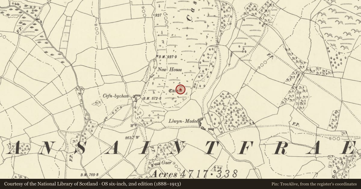 Ordnance Survey six-inch map, 2nd edition (1888–1913) covering the location of Castle Bank ring cairn, Glascwm, Powys, with a pin at the register's coordinates
