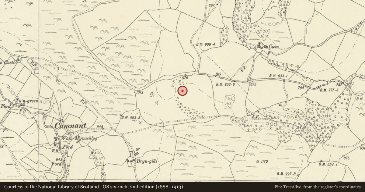 Ordnance Survey six-inch map, 2nd edition (1888–1913) covering the location of Cwm standing stone, Glascwm, Powys, with a pin at the register's coordinates