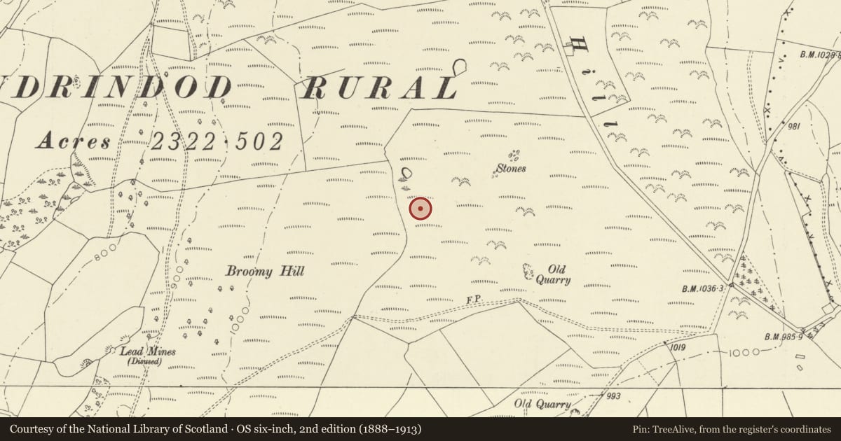 Ordnance Survey six-inch map, 2nd edition (1888–1913) covering the location of Broomy Hill standing stone, Llandrindod Wells, Powys, with a pin at the register's coordinates