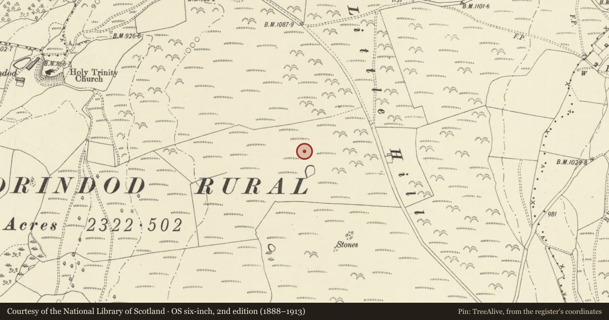 Ordnance Survey six-inch map, 2nd edition (1888–1913) covering the location of Broomy Hill, standing stone on N, Llandrindod Wells, Powys, with a pin at the register's coordinates