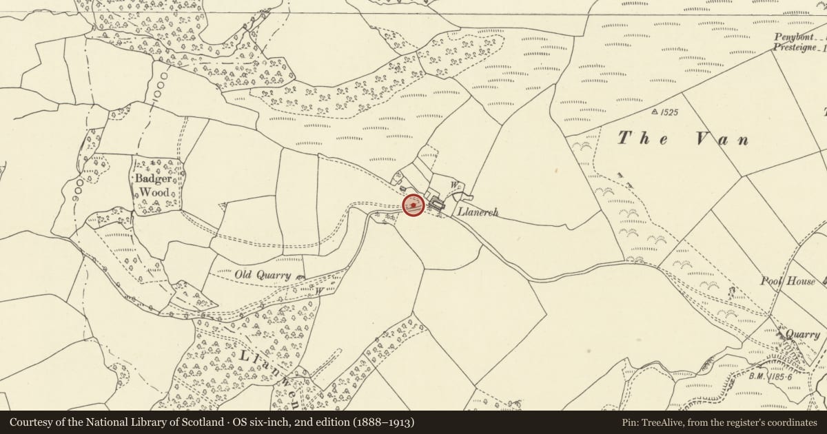 Ordnance Survey six-inch map, 2nd edition (1888–1913) covering the location of Llannerch cup-marked rock, New Radnor, Powys, with a pin at the register's coordinates